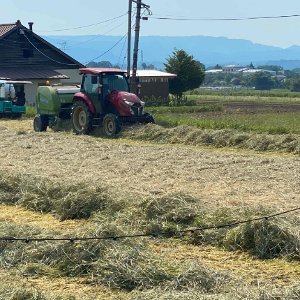 自社ほ場での飼料生産